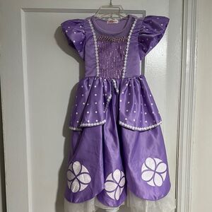 Purple princess girls  Costume dress